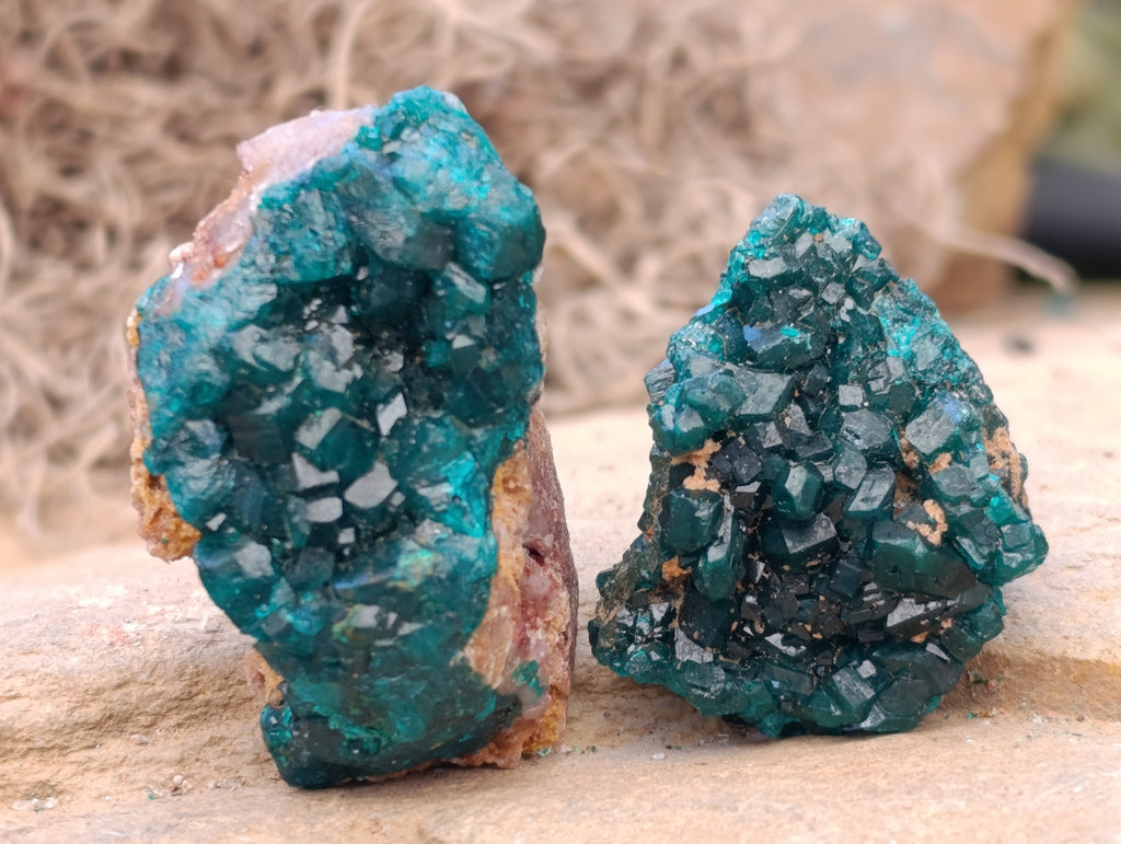 Natural Dioptase On Dolomite Specimens x 12 From Likasi, Congo - Toprock Gemstones and Minerals 