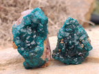 Natural Dioptase On Dolomite Specimens x 12 From Likasi, Congo - Toprock Gemstones and Minerals 
