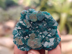 Natural Dioptase On Dolomite Specimens x 12 From Likasi, Congo - Toprock Gemstones and Minerals 