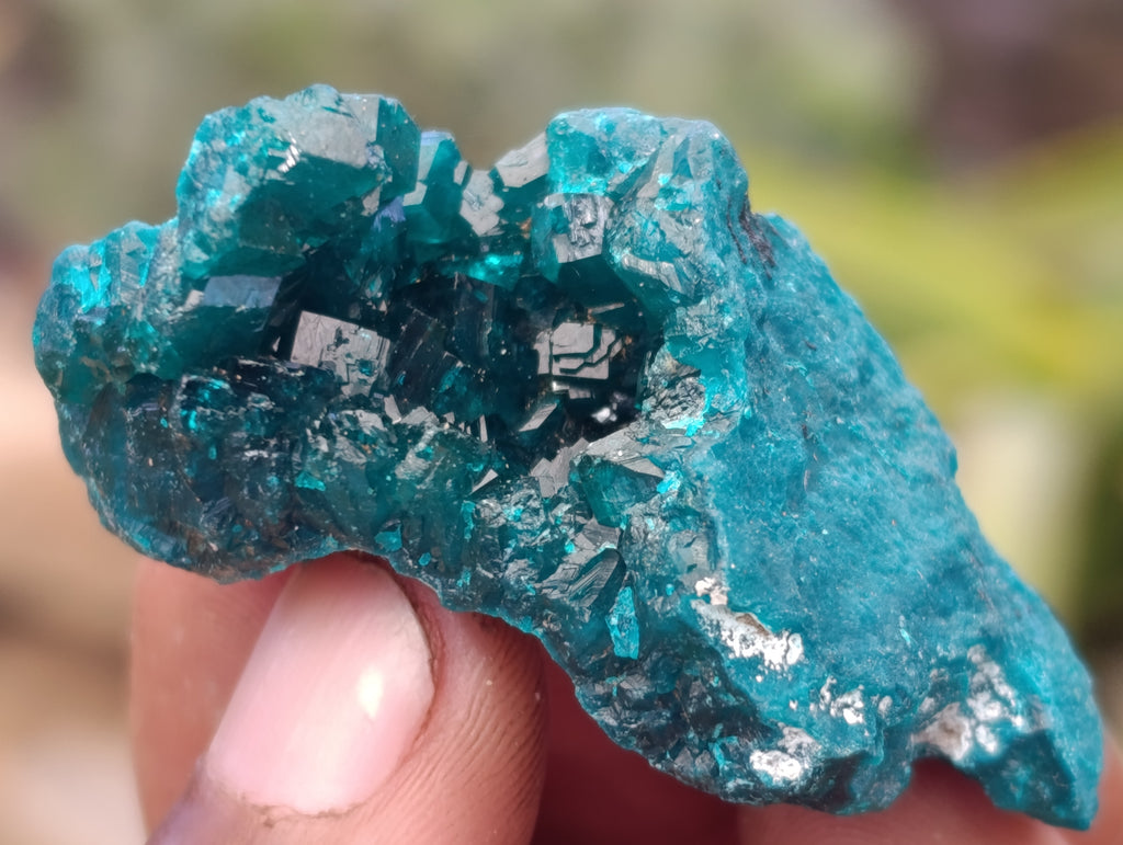 Natural Dioptase On Dolomite Specimens x 12 From Likasi, Congo - Toprock Gemstones and Minerals 