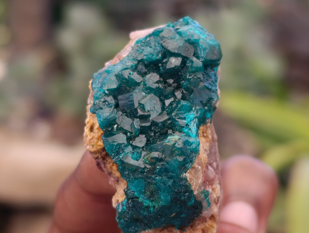 Natural Dioptase On Dolomite Specimens x 12 From Likasi, Congo - Toprock Gemstones and Minerals 