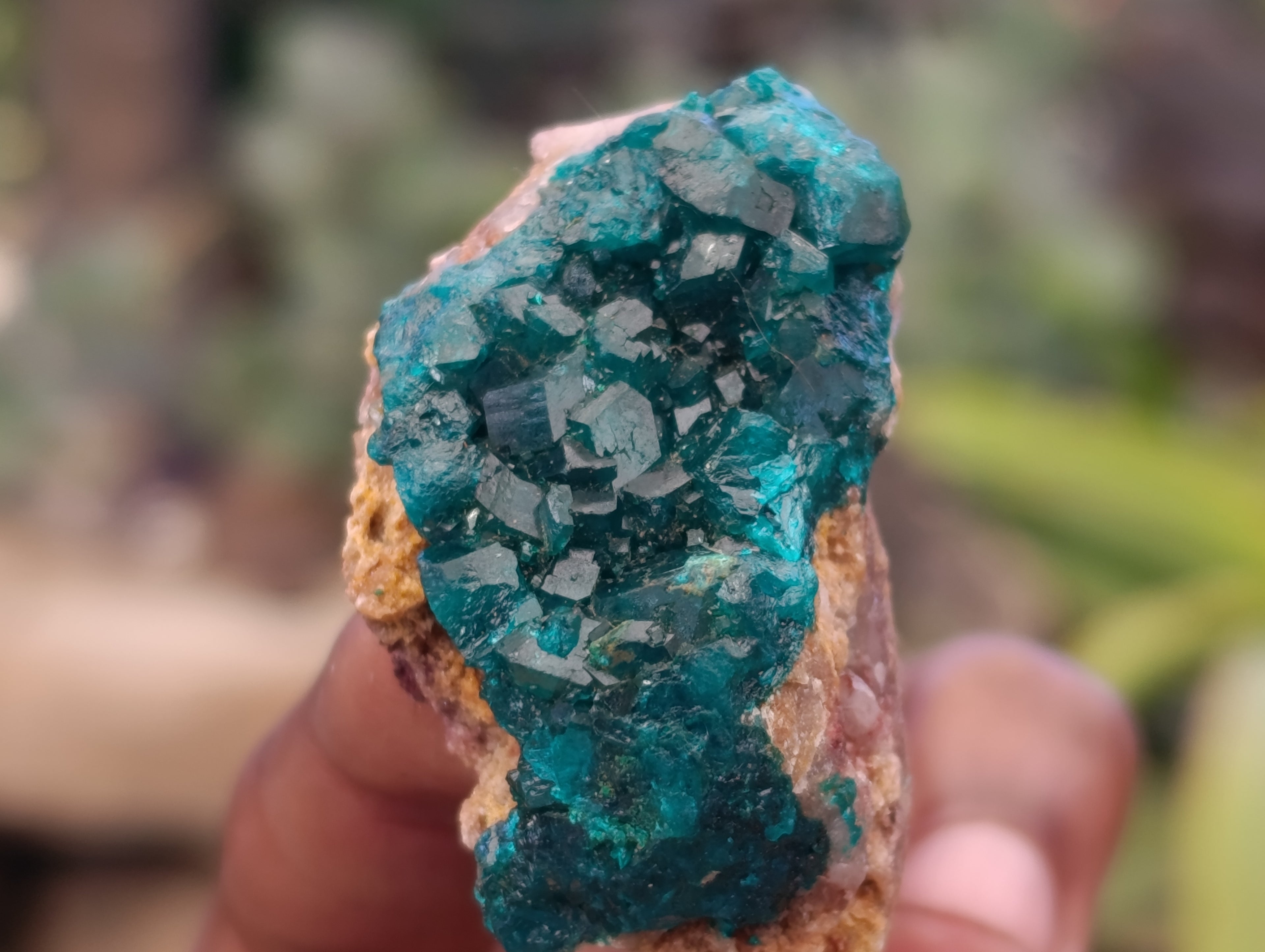 Natural Dioptase On Dolomite Specimens x 12 From Likasi, Congo - Toprock Gemstones and Minerals 