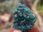 Natural Dioptase On Dolomite Specimens x 12 From Likasi, Congo - Toprock Gemstones and Minerals 