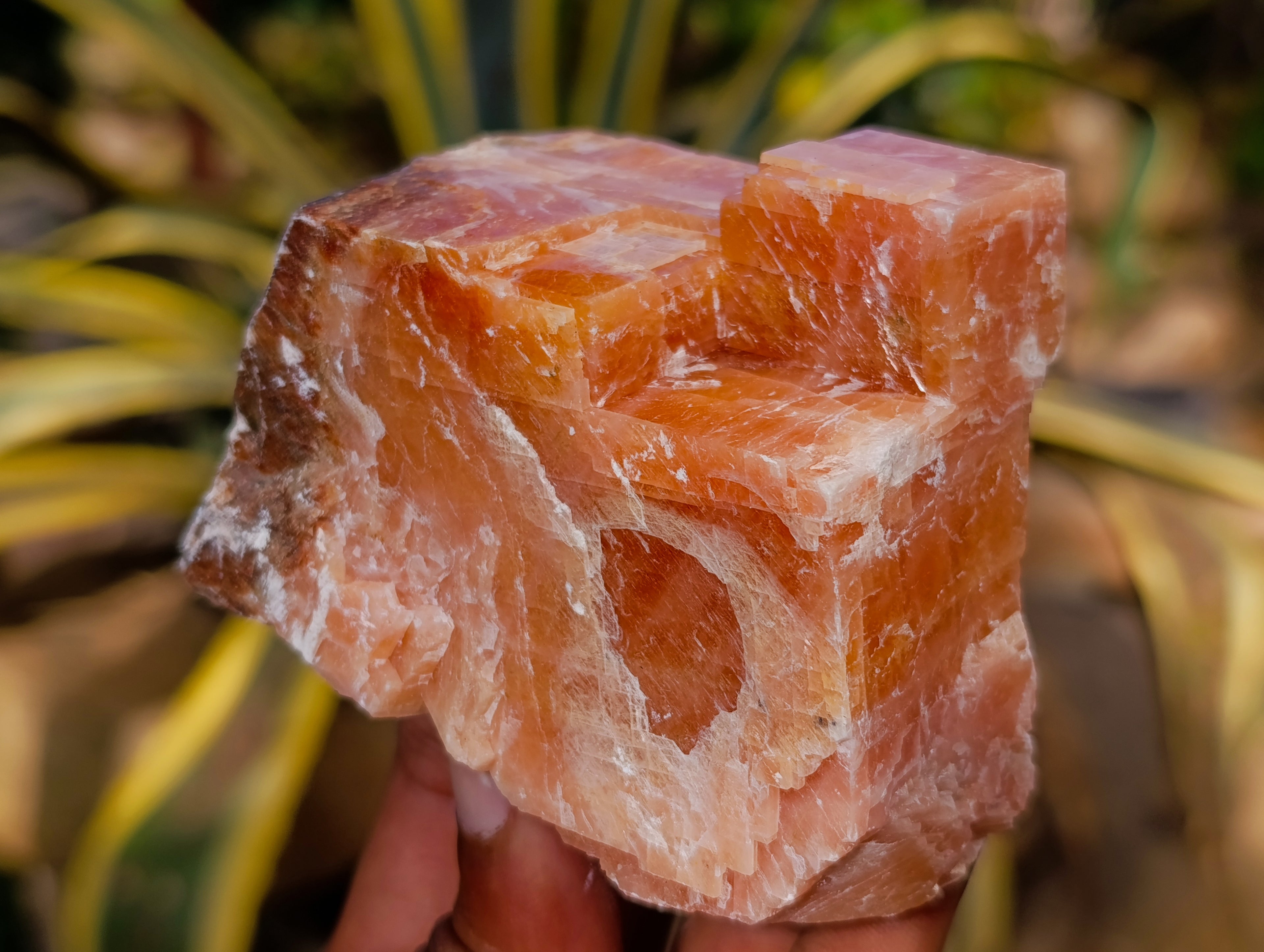 Natural Rhombohedral Sunset Orange Calcite Specimens x 6 From Spitzkop, Namibia - Toprock Gemstones and Minerals 