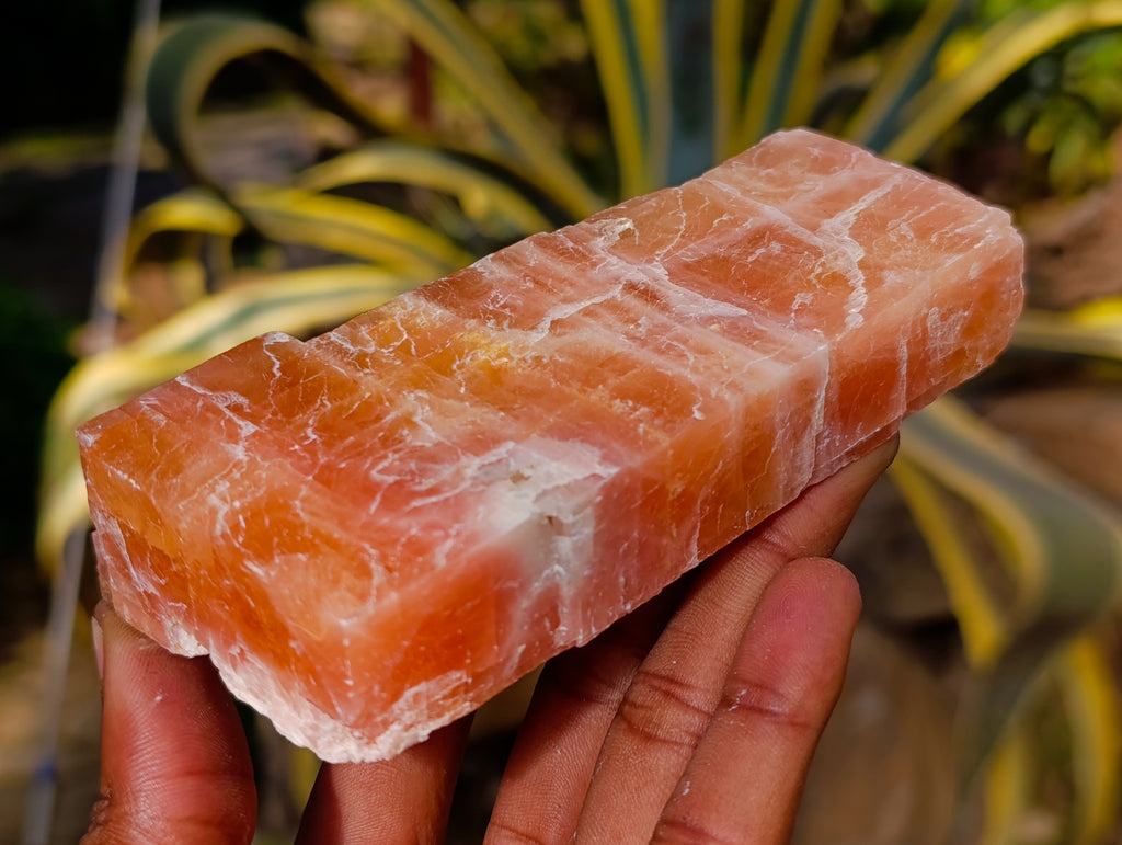 Natural Rhombohedral Sunset Orange Calcite Specimens x 6 From Spitzkop, Namibia - Toprock Gemstones and Minerals 