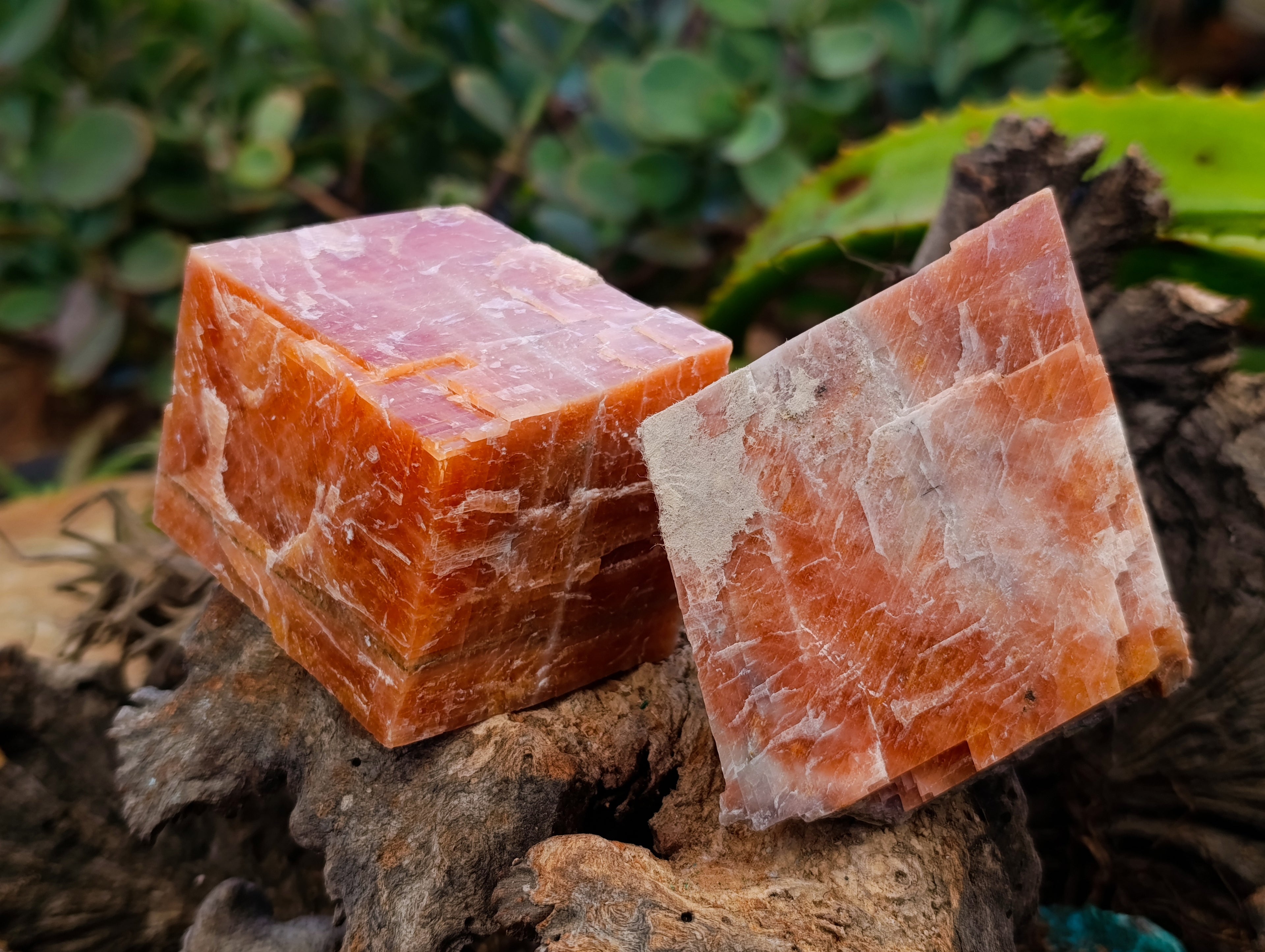 Natural Rhombohedral Sunset Orange Calcite Specimens x 6 From Spitzkop, Namibia - Toprock Gemstones and Minerals 