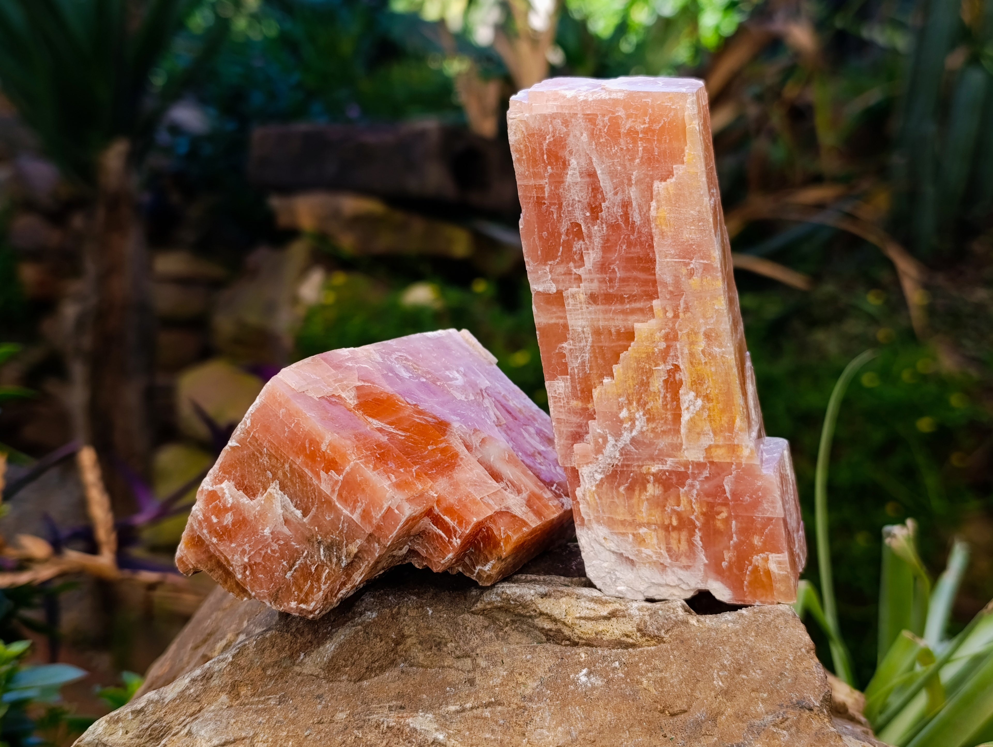 Natural Rhombohedral Sunset Orange Calcite Specimens x 6 From Spitzkop, Namibia - Toprock Gemstones and Minerals 