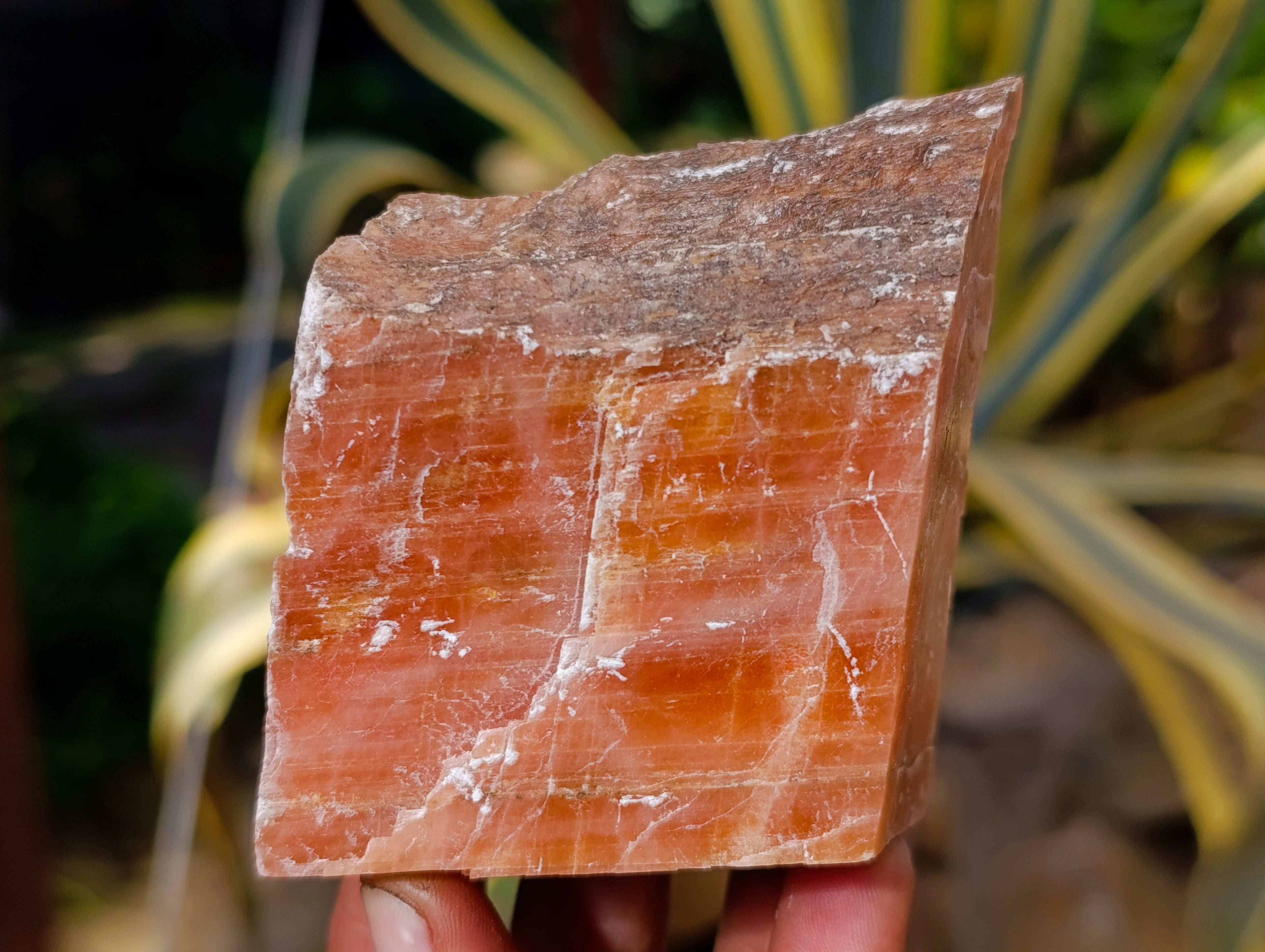 Natural Rhombohedral Sunset Orange Calcite Specimens x 6 From Spitzkop, Namibia - Toprock Gemstones and Minerals 