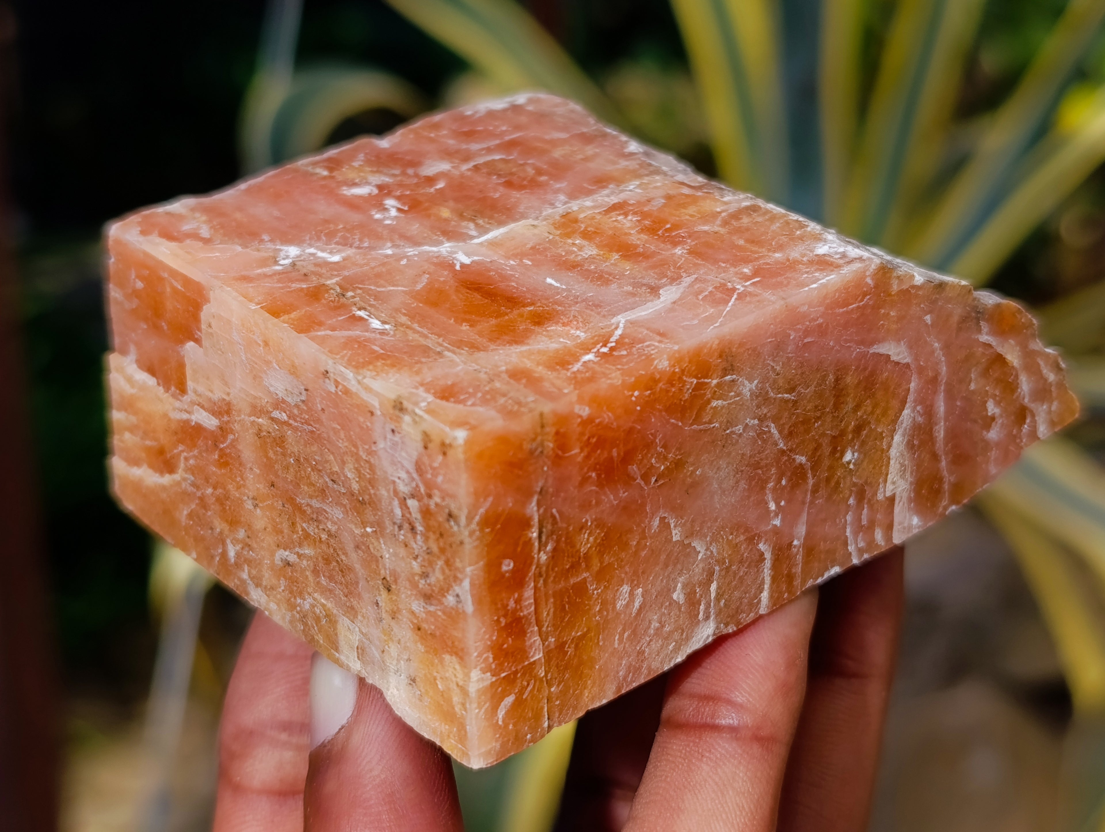 Natural Rhombohedral Sunset Orange Calcite Specimens x 6 From Spitzkop, Namibia - Toprock Gemstones and Minerals 