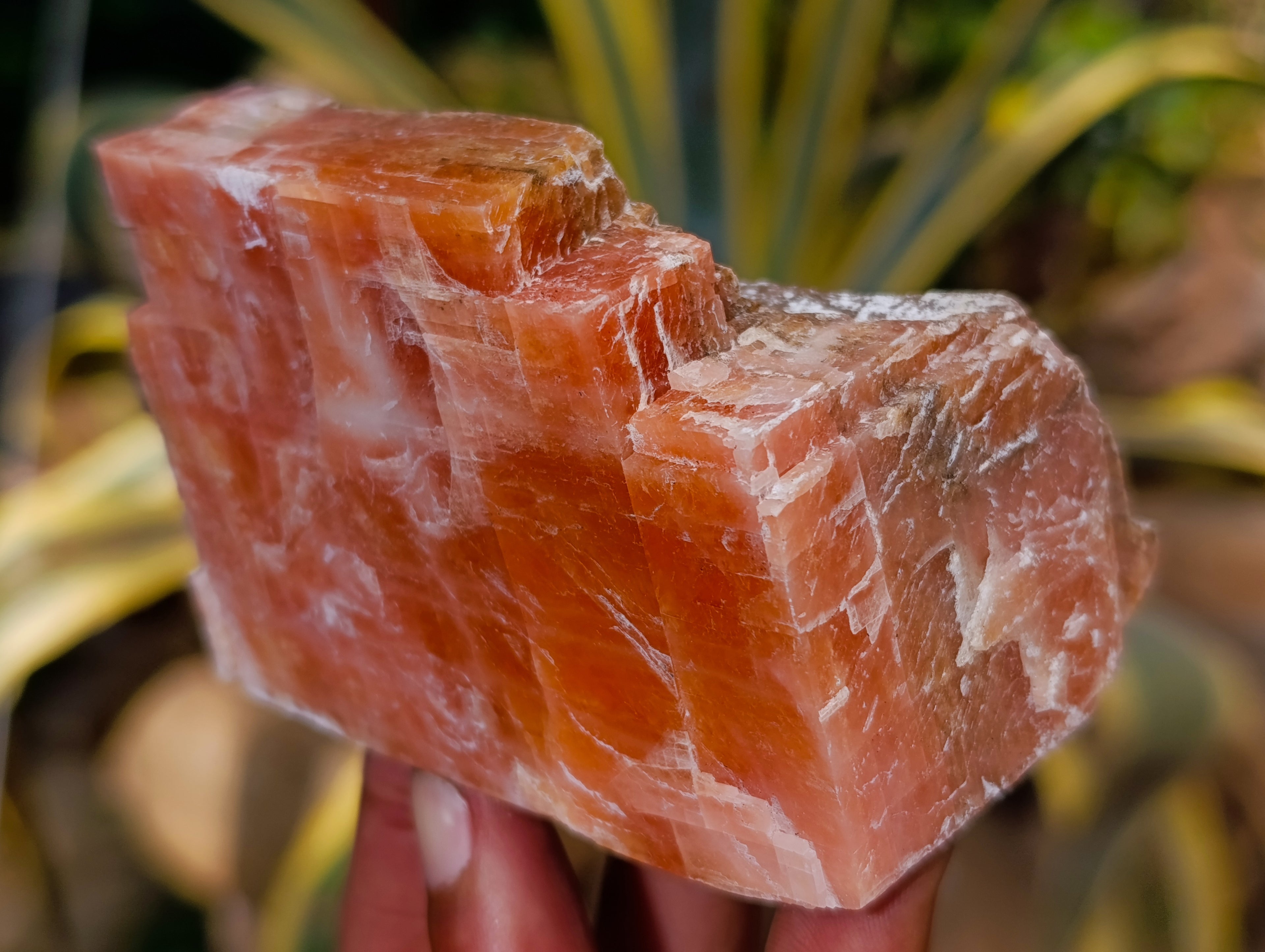 Natural Rhombohedral Sunset Orange Calcite Specimens x 6 From Spitzkop, Namibia - Toprock Gemstones and Minerals 