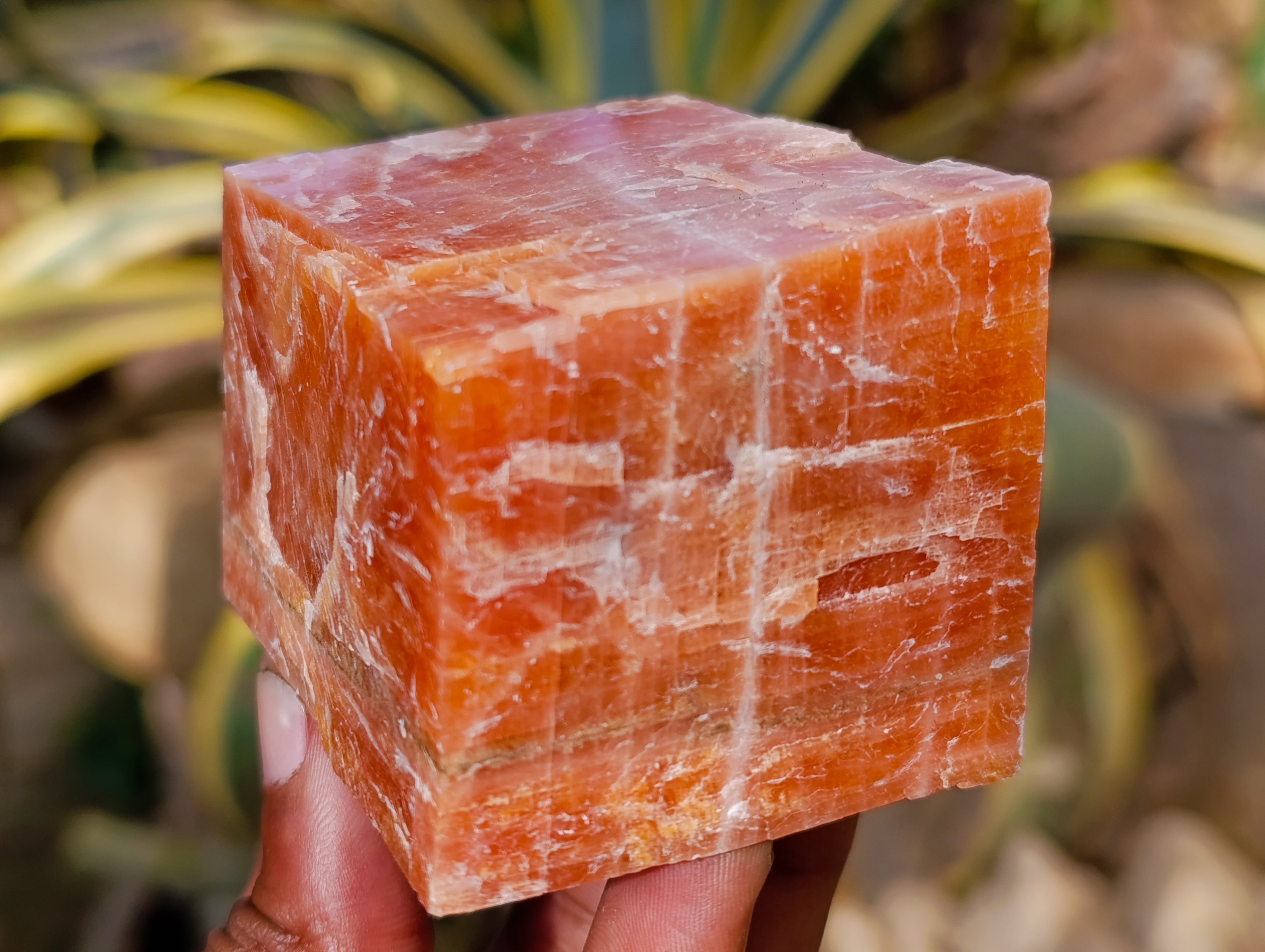 Natural Rhombohedral Sunset Orange Calcite Specimens x 6 From Spitzkop, Namibia - Toprock Gemstones and Minerals 