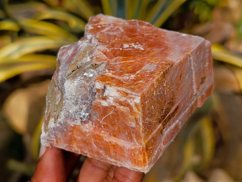 Natural Rhombohedral Sunset Orange Calcite Specimens x 6 From Spitzkop, Namibia - Toprock Gemstones and Minerals 