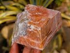 Natural Rhombohedral Sunset Orange Calcite Specimens x 6 From Spitzkop, Namibia - Toprock Gemstones and Minerals 