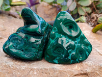 Polished Flower Banded Malachite Free Forms x 2 From Congo