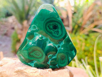 Polished Flower Banded Malachite Free Forms x 2 From Congo