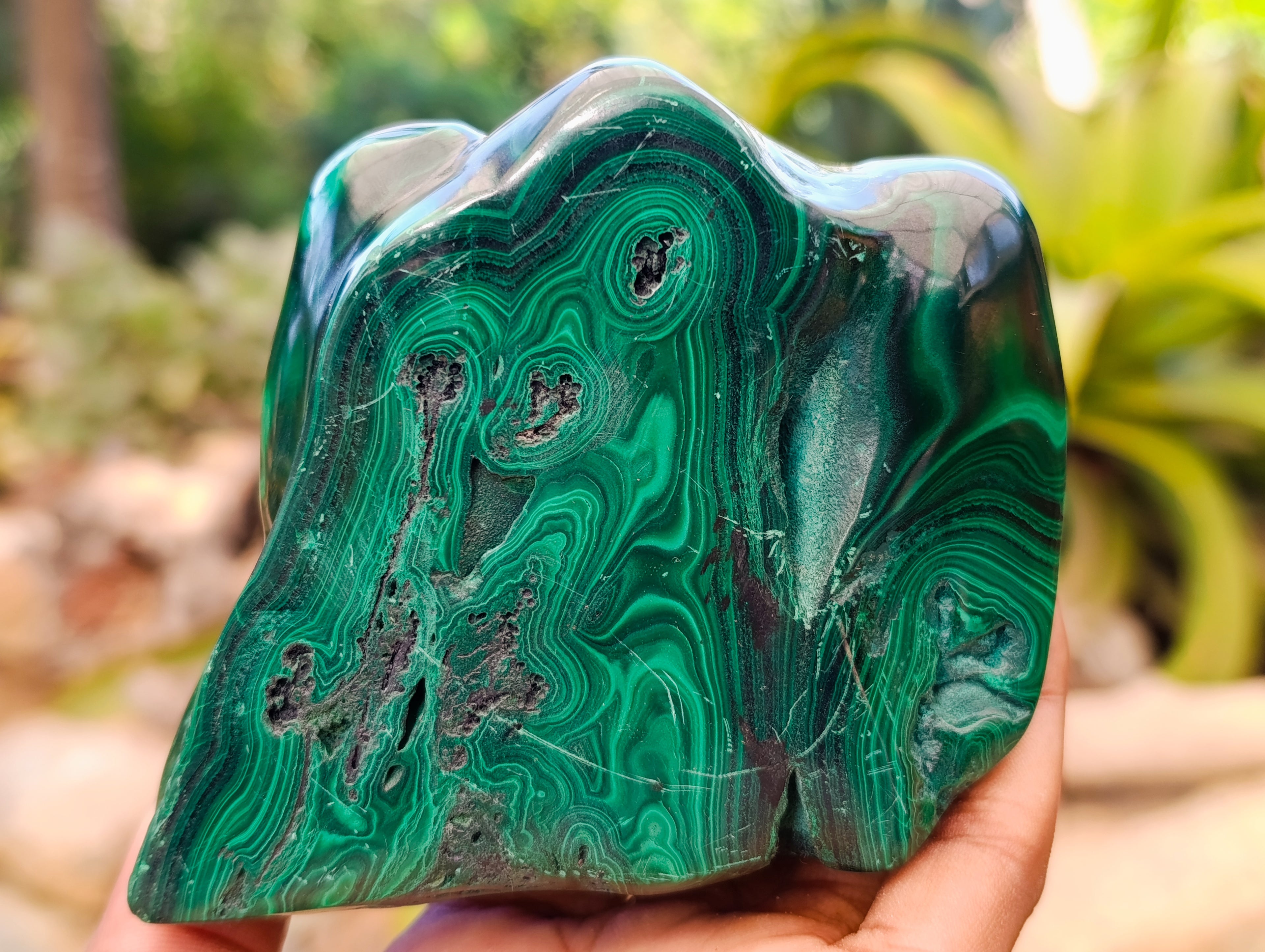 Polished Flower Banded Malachite Free Forms x 2 From Congo - Toprock Gemstones and Minerals 