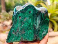 Polished Flower Banded Malachite Free Forms x 2 From Congo