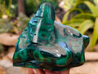 Polished Flower Banded Malachite Free Forms x 2 From Congo - Toprock Gemstones and Minerals 