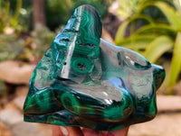 Polished Flower Banded Malachite Free Forms x 2 From Congo