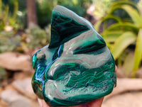 Polished Flower Banded Malachite Free Forms x 2 From Congo