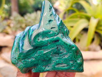 Polished Flower Banded Malachite Free Forms x 2 From Congo