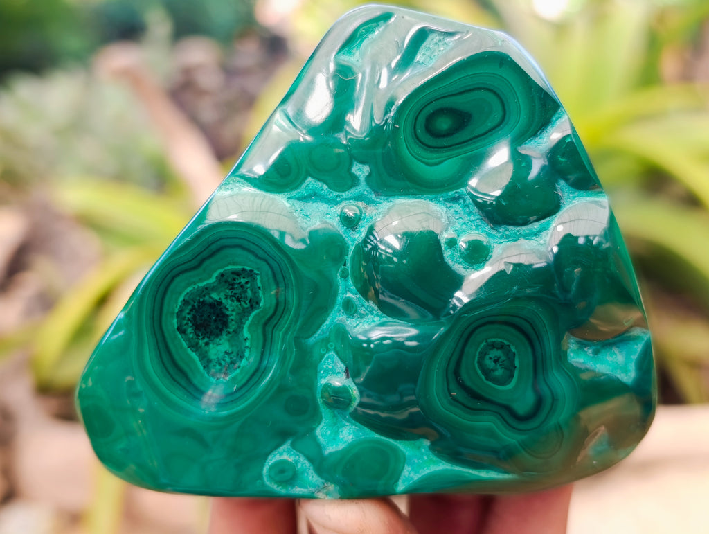 Polished Flower Banded Malachite Free Forms x 2 From Congo - Toprock Gemstones and Minerals 