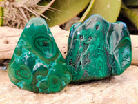 Polished Flower Banded Malachite Free Forms x 2 From Congo