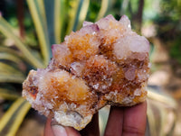 Natural Smokey Ametrine Spirit Quartz Crystals x 4 From South Africa