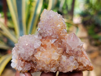 Natural Smokey Ametrine Spirit Quartz Crystals x 4 From South Africa