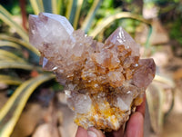 Natural Smokey Ametrine Spirit Quartz Crystals x 4 From South Africa