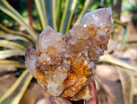 Natural Smokey Ametrine Spirit Quartz Crystals x 4 From South Africa