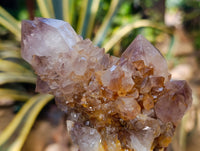 Natural Smokey Ametrine Spirit Quartz Crystals x 4 From South Africa