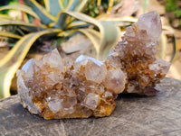 Natural Smokey Ametrine Spirit Quartz Crystals x 4 From South Africa