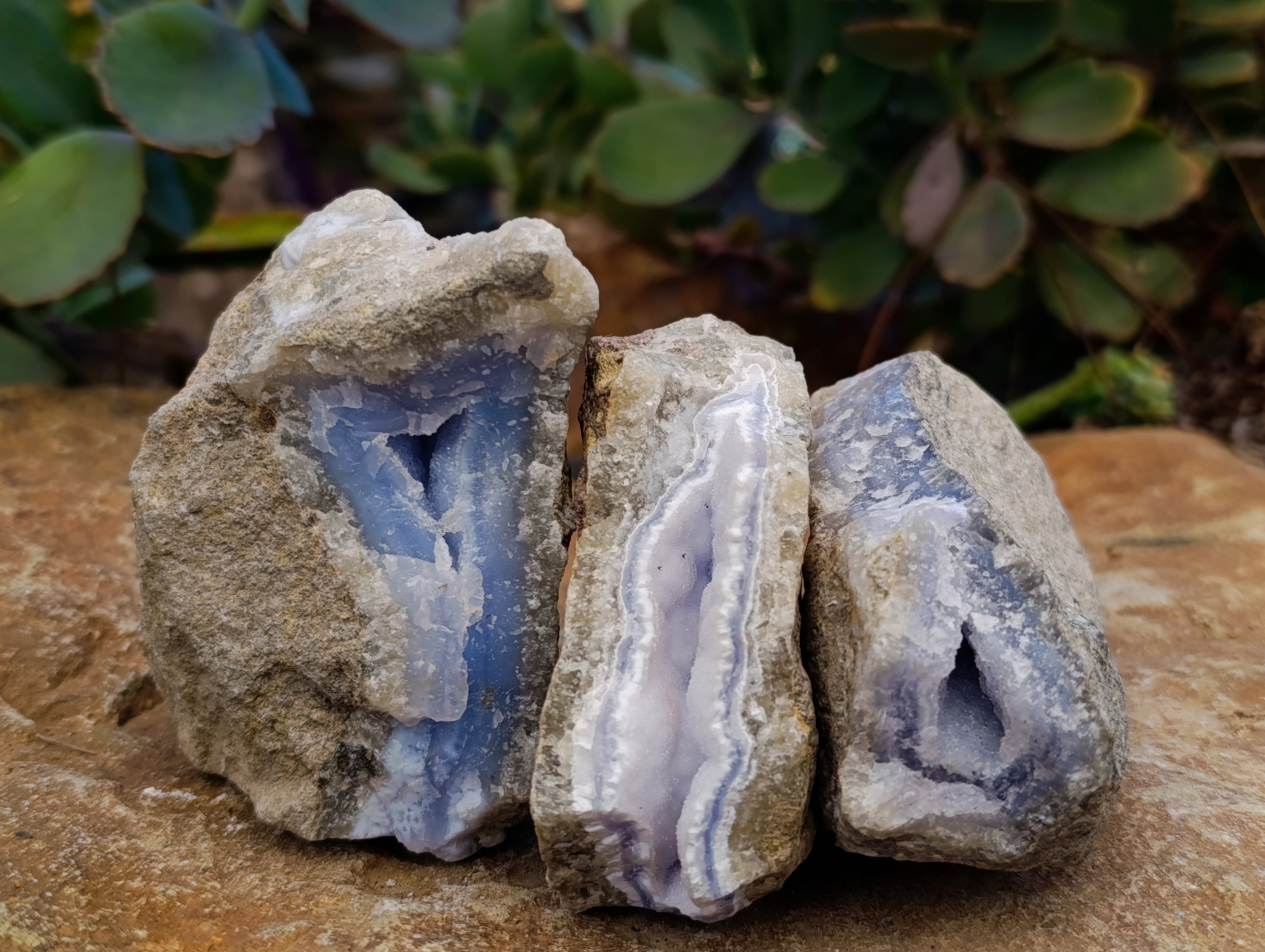 Natural Blue Lace Agate Geodes x 12 From Nsanje, Malawi - Toprock Gemstones and Minerals 