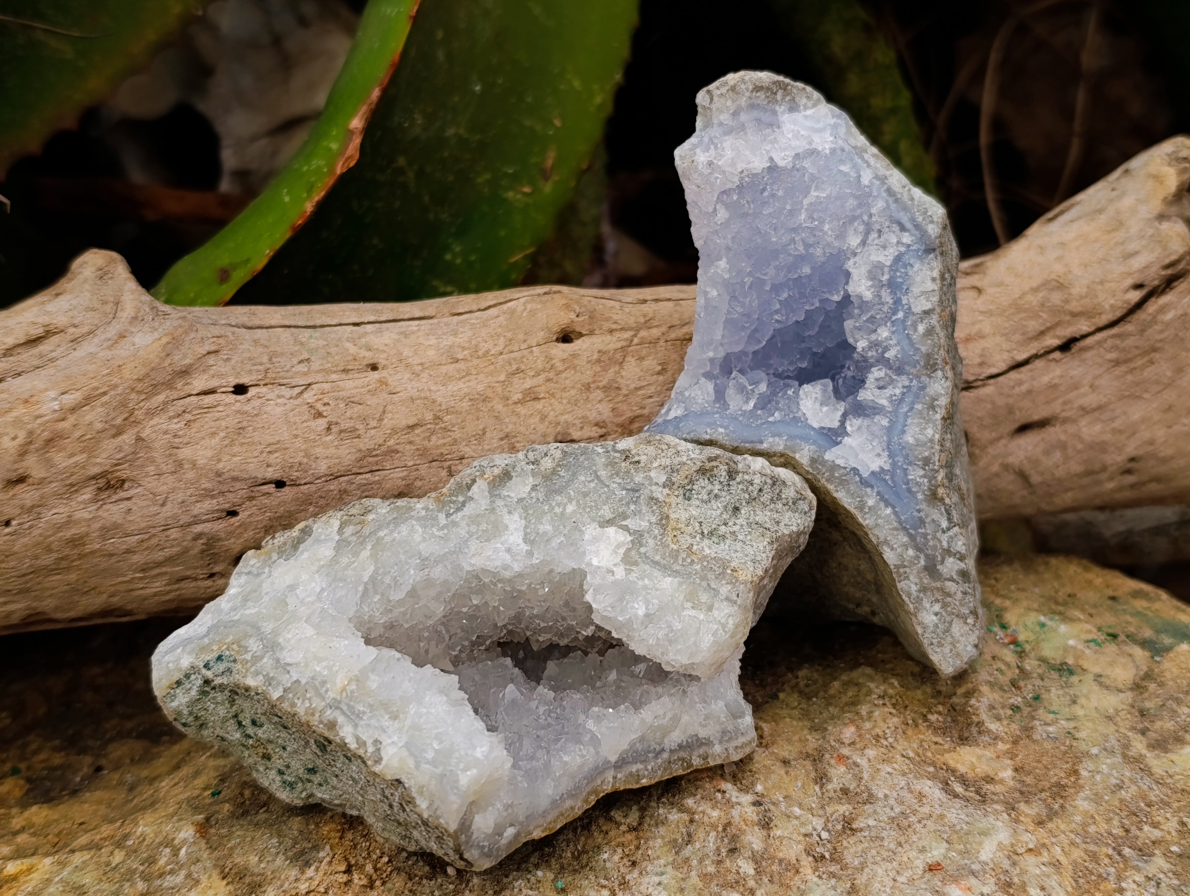 Natural Blue Lace Agate Geodes x 12 From Nsanje, Malawi - Toprock Gemstones and Minerals 