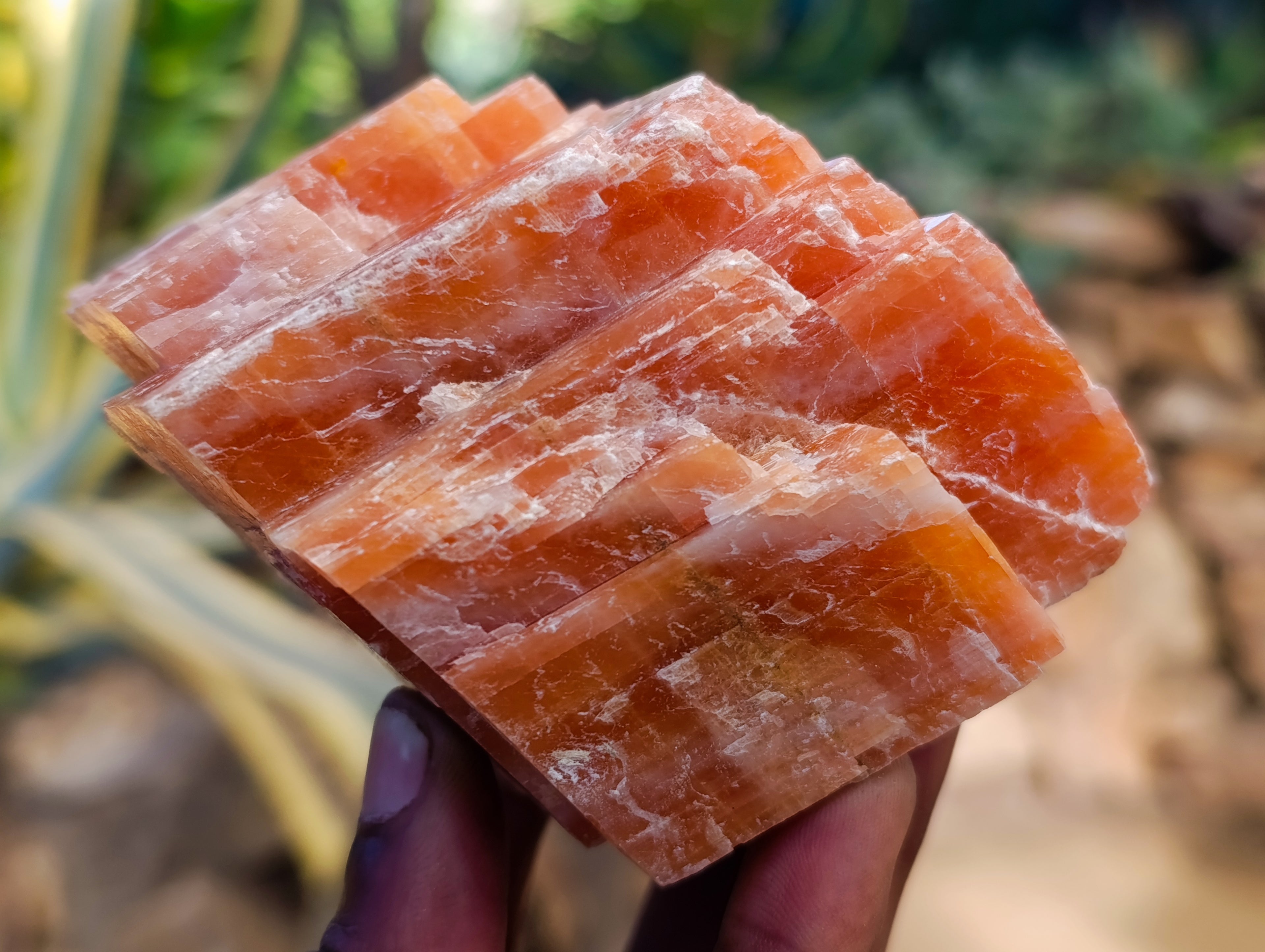 Natural Rhombohedral Sunset Orange Calcite Specimens x 4 From Spitzkop, Namibia - Toprock Gemstones and Minerals 