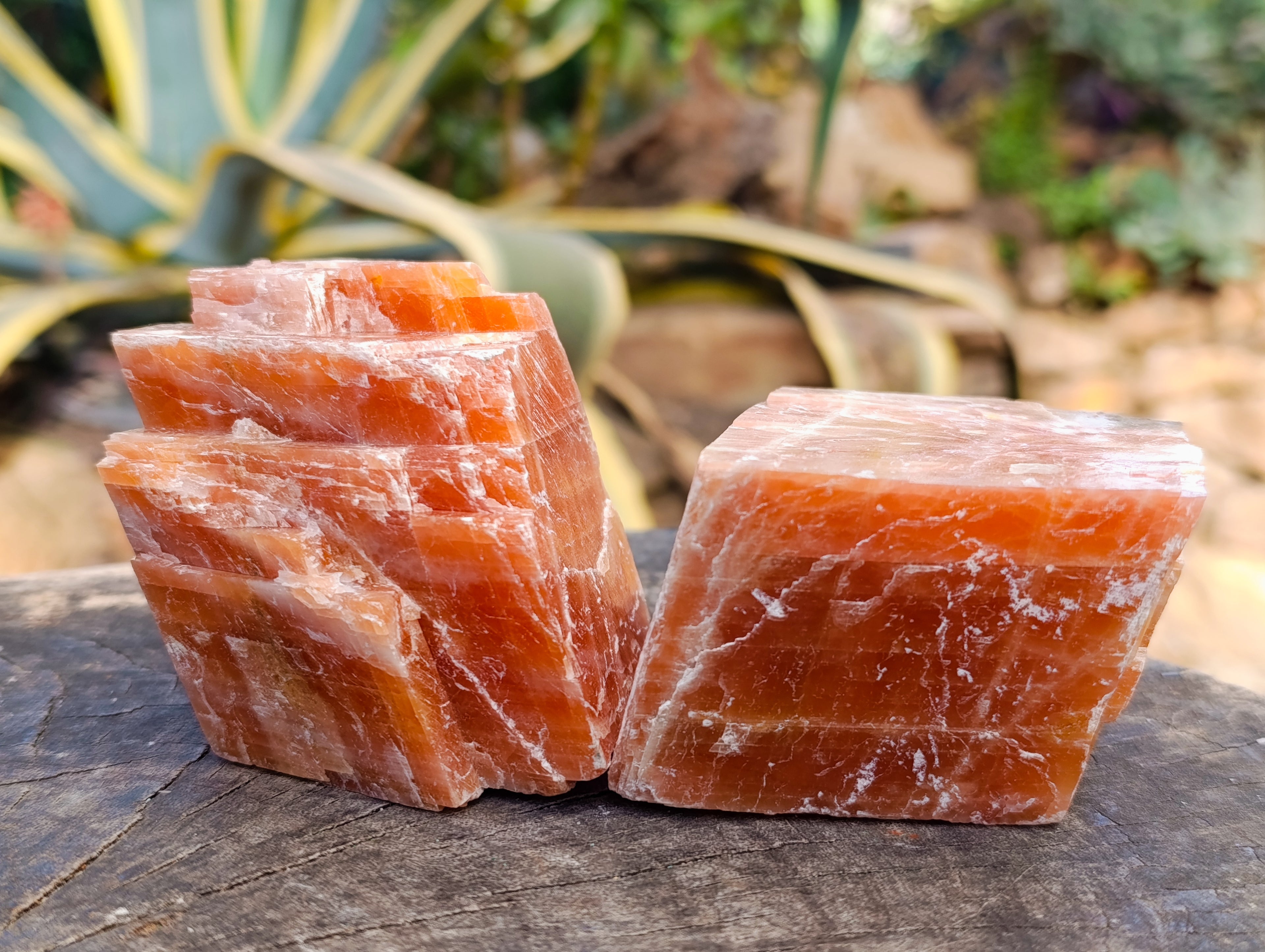 Natural Rhombohedral Sunset Orange Calcite Specimens x 4 From Spitzkop, Namibia - Toprock Gemstones and Minerals 