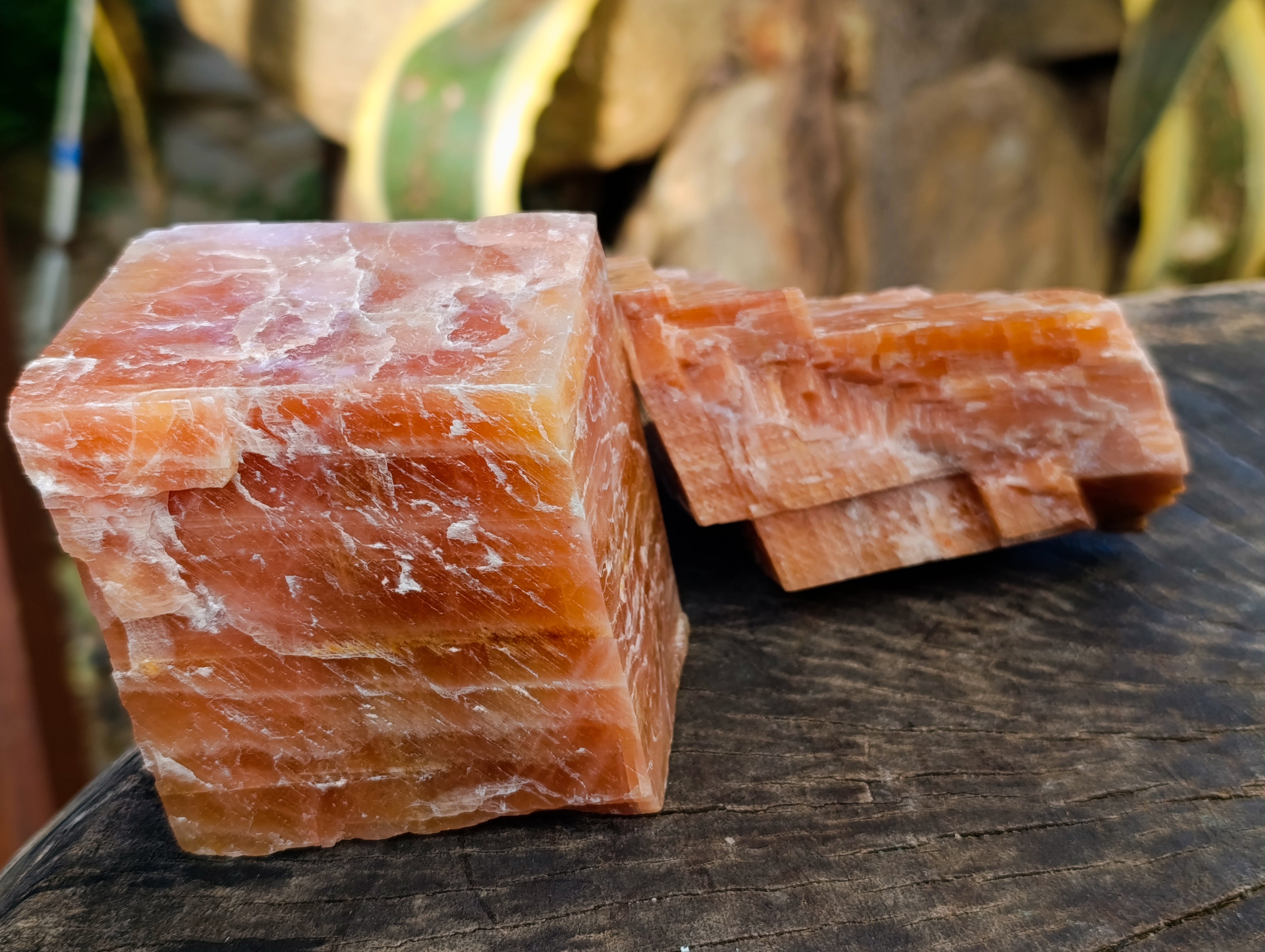 Natural Rhombohedral Sunset Orange Calcite Specimens x 4 From Spitzkop, Namibia - Toprock Gemstones and Minerals 