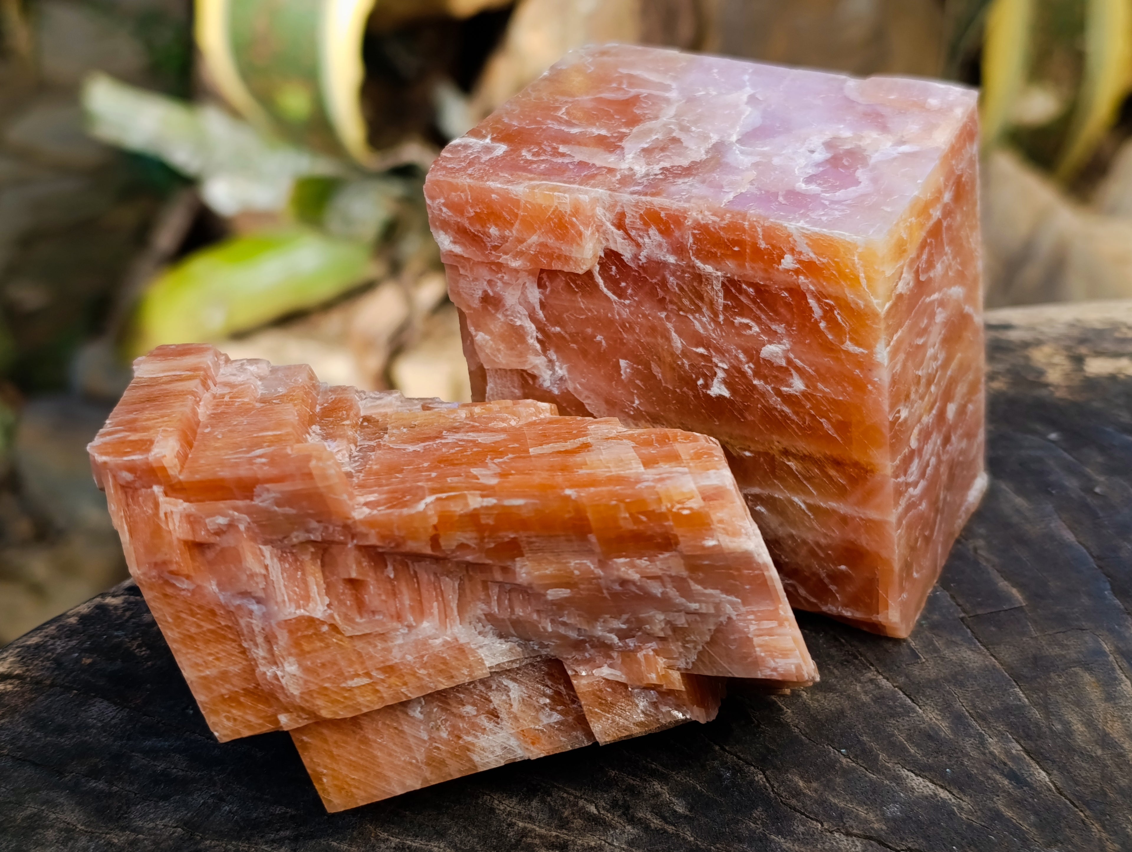 Natural Rhombohedral Sunset Orange Calcite Specimens x 4 From Spitzkop, Namibia - Toprock Gemstones and Minerals 
