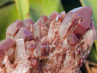 Natural Red Hematoid Quartz Clusters x 2 From Karoi, Zimbabwe