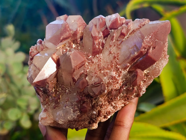 Natural Red Hematoid Quartz Clusters x 2 From Karoi, Zimbabwe