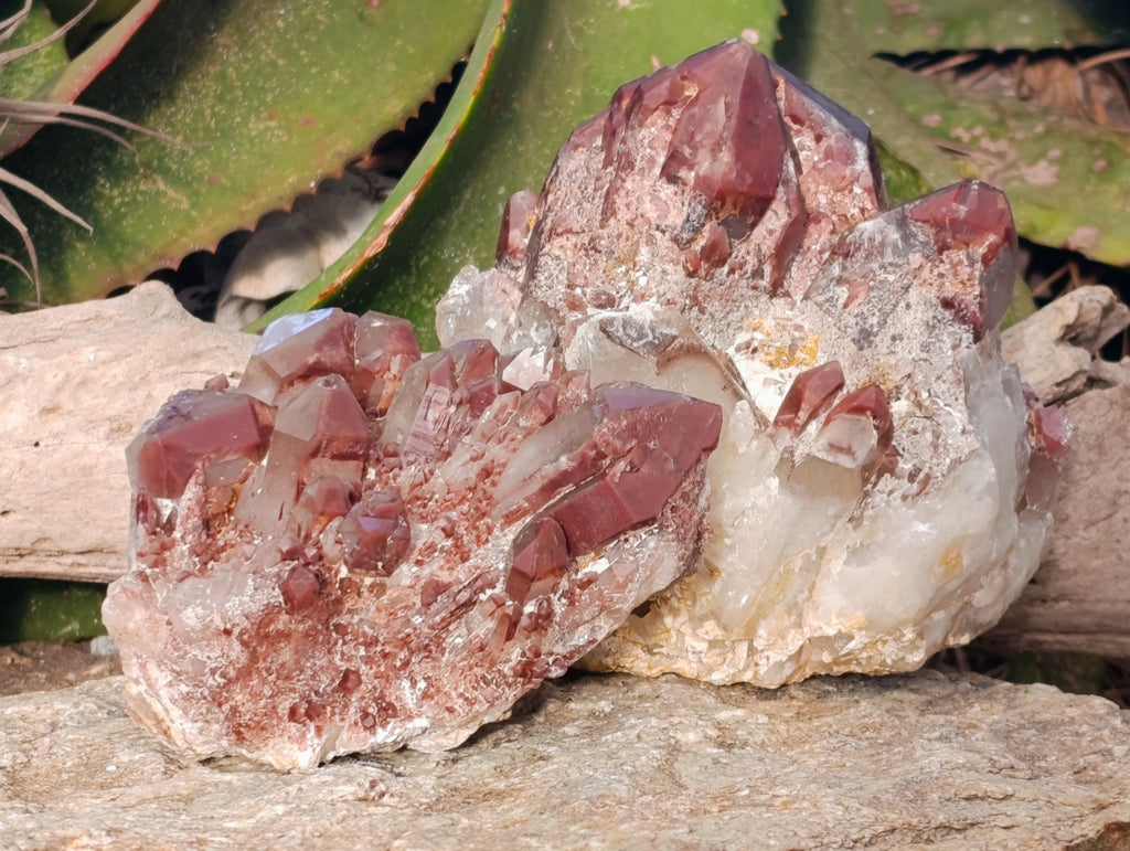 Natural Red Hematoid Quartz Clusters x 2 From Karoi, Zimbabwe - Toprock Gemstones and Minerals 