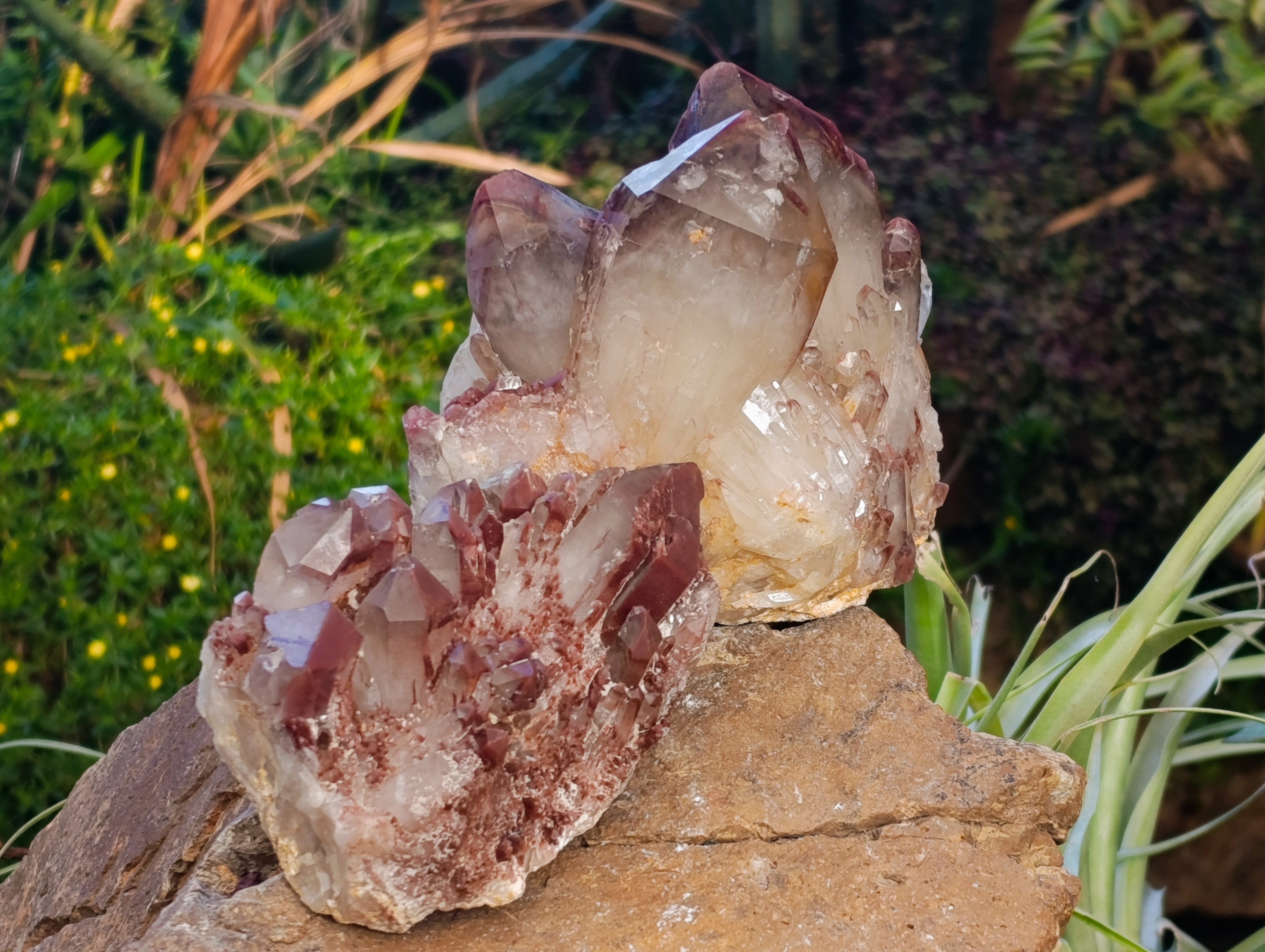 Natural Red Hematoid Quartz Clusters x 2 From Karoi, Zimbabwe - Toprock Gemstones and Minerals 