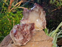 Natural Red Hematoid Quartz Clusters x 2 From Karoi, Zimbabwe