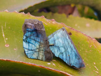 Polished On One Side Small Purple Flash Labradorite Plates x 70 From Tulear, Madagascar