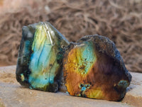 Polished On One Side Small Purple Flash Labradorite Plates x 70 From Tulear, Madagascar