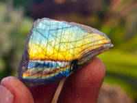 Polished On One Side Small Purple Flash Labradorite Plates x 70 From Tulear, Madagascar