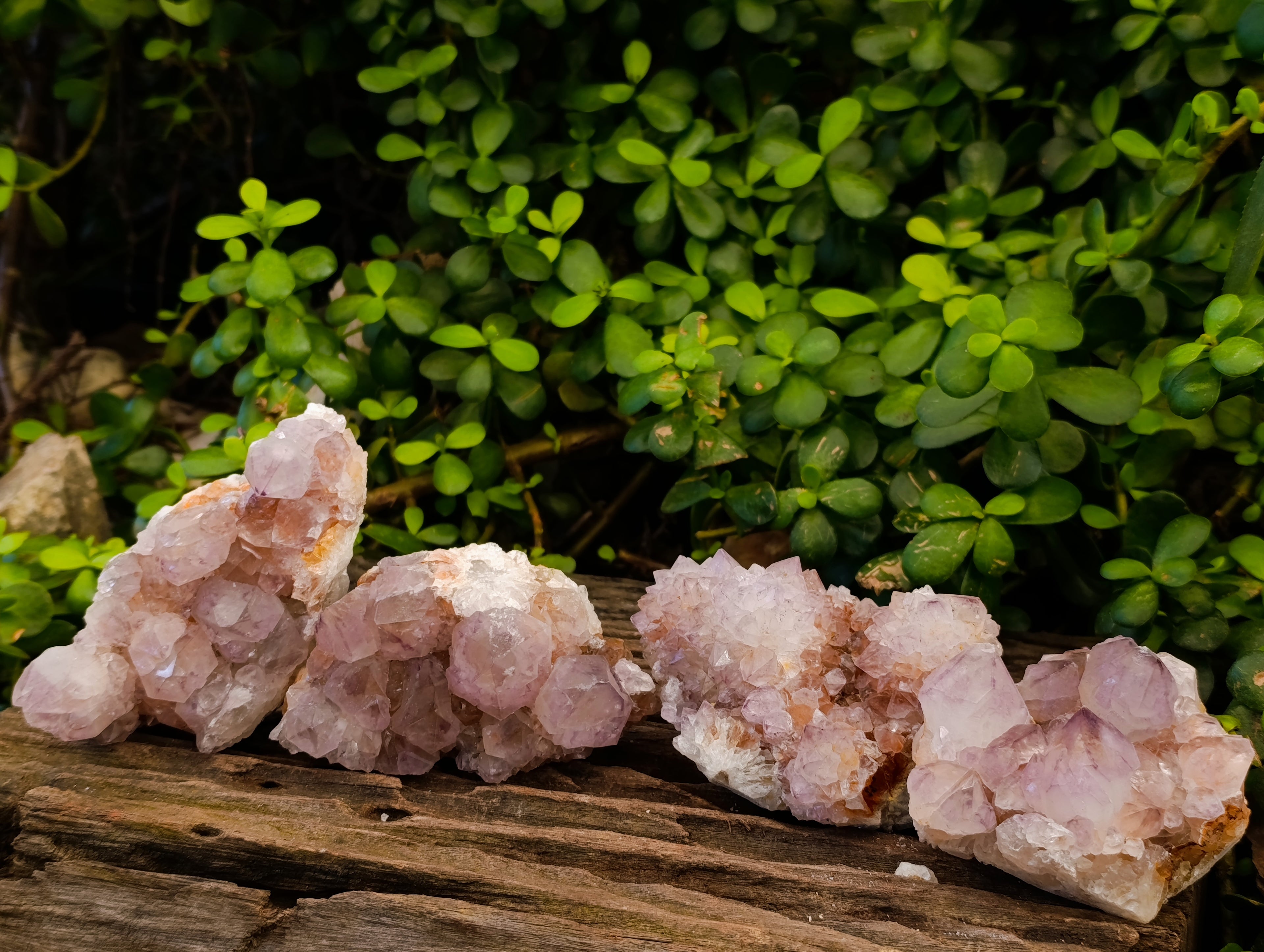 Natural Sunburst Amethyst Spirit Quartz Clusters x 4 From South Africa - Toprock Gemstones and Minerals 