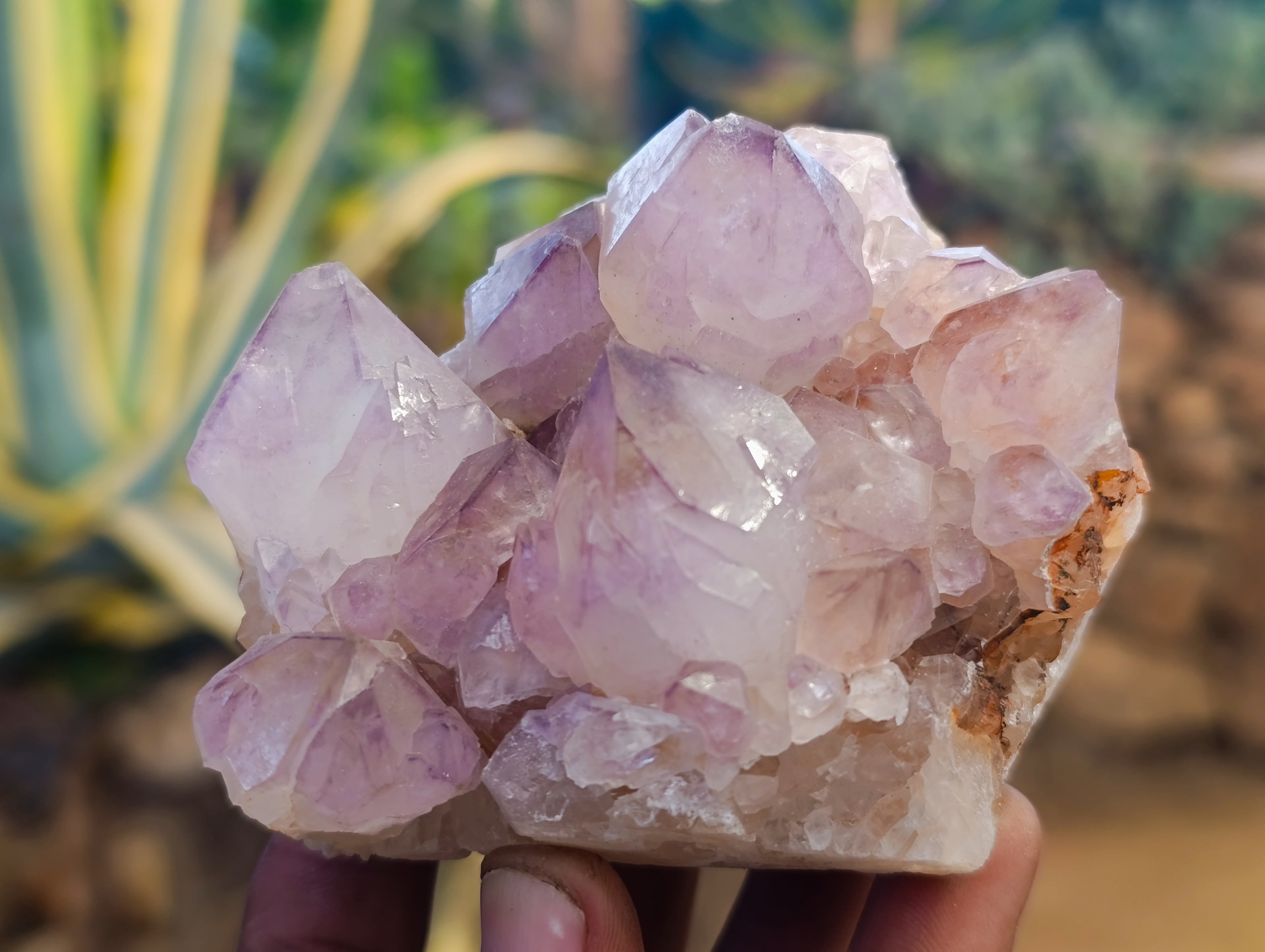 Natural Sunburst Amethyst Spirit Quartz Clusters x 4 From South Africa - Toprock Gemstones and Minerals 