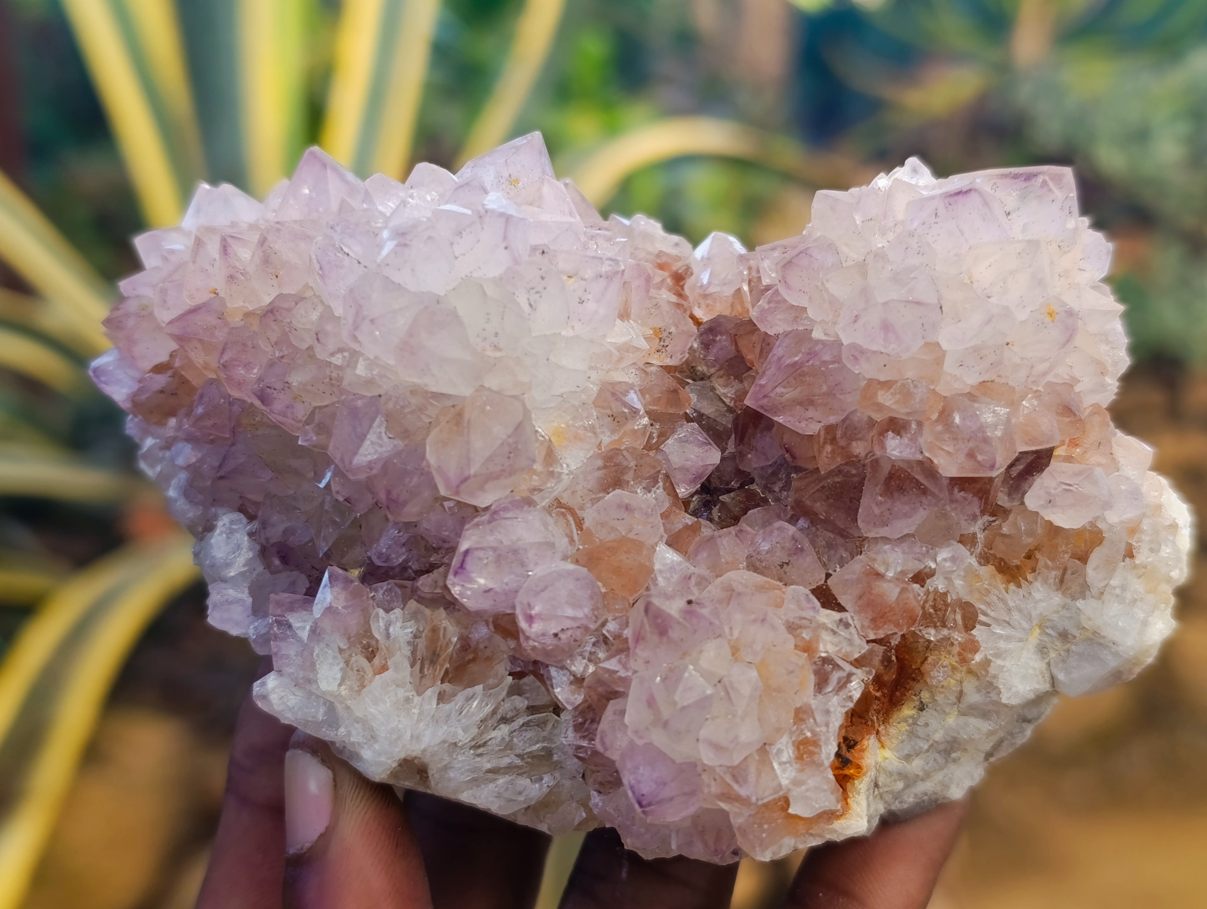 Natural Sunburst Amethyst Spirit Quartz Clusters x 4 From South Africa - Toprock Gemstones and Minerals 